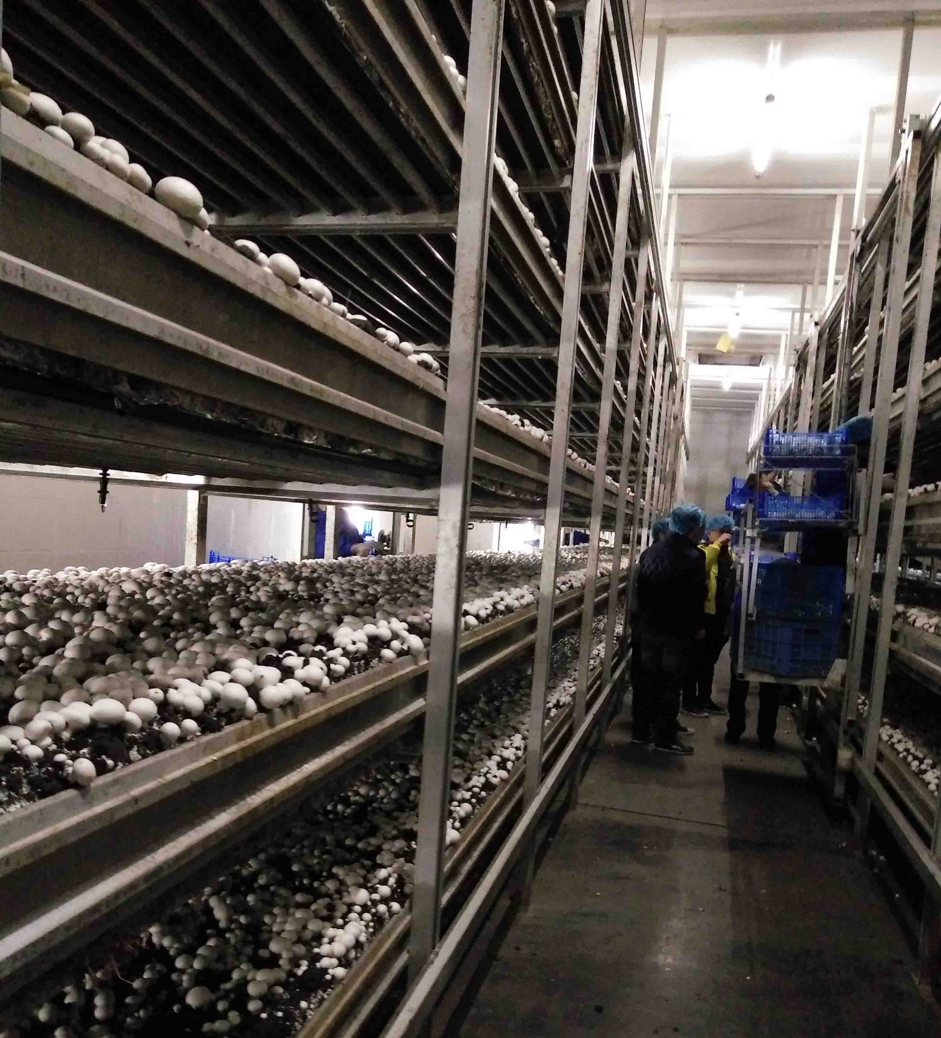 現(xiàn)代農(nóng)業(yè)灌溉系統(tǒng)